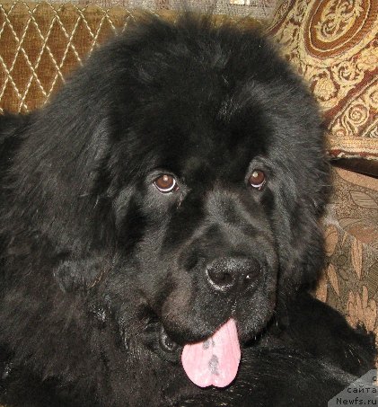 Фотография № 205662