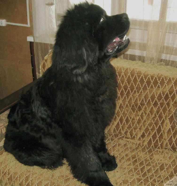 Фотография № 205664