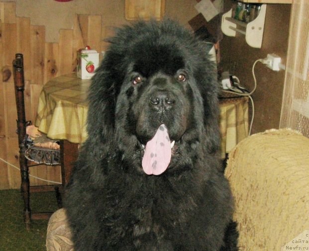 Фотография № 205665