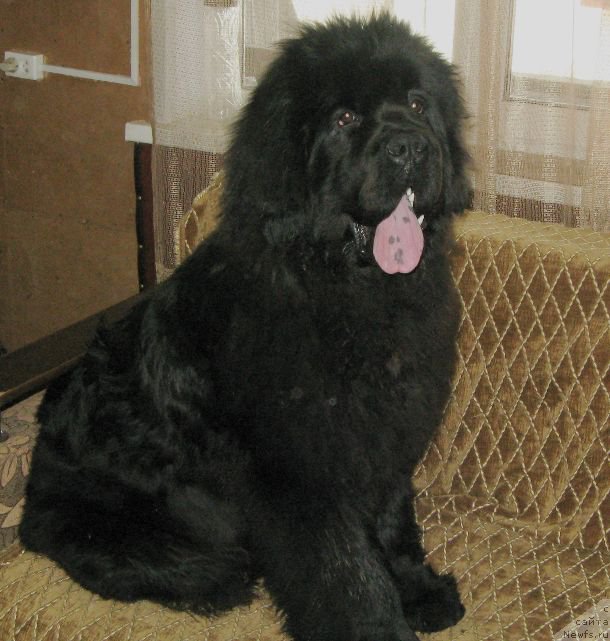 Фотография № 205666