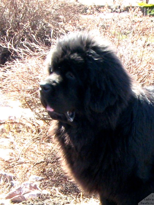 Фотография № 205669