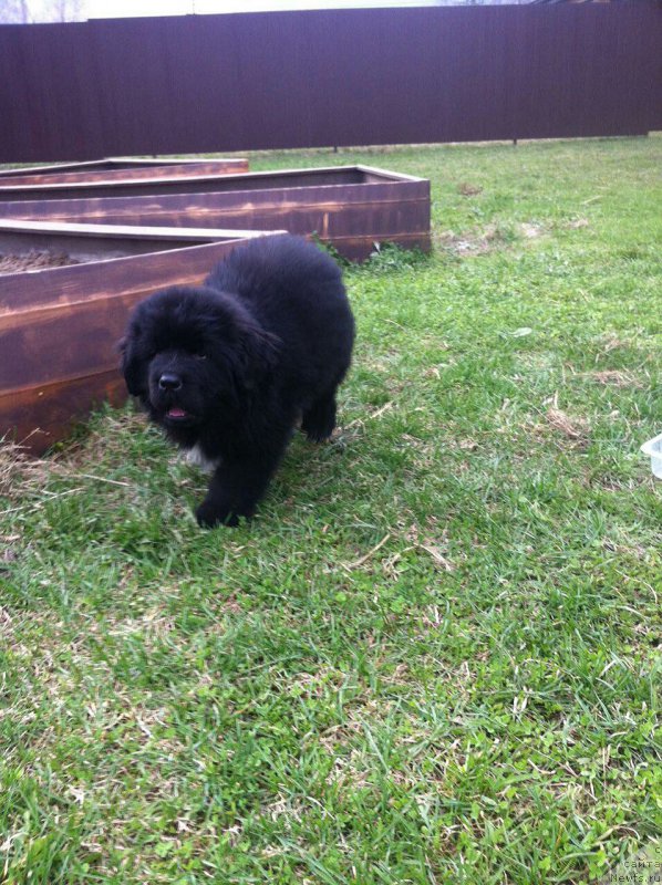 Фотография № 205675