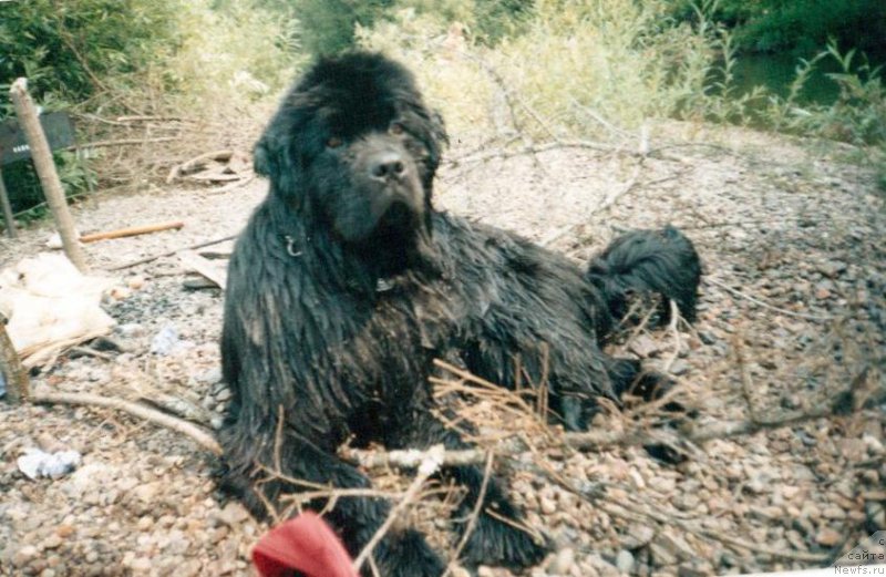 Фотография № 205682