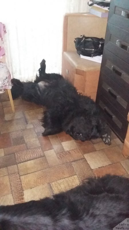 Фотография № 205697