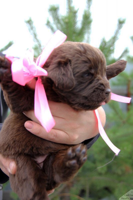 Фотография № 205699