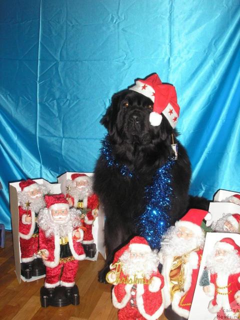 Фотография № 2057