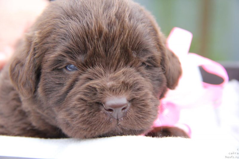 Фотография № 205700