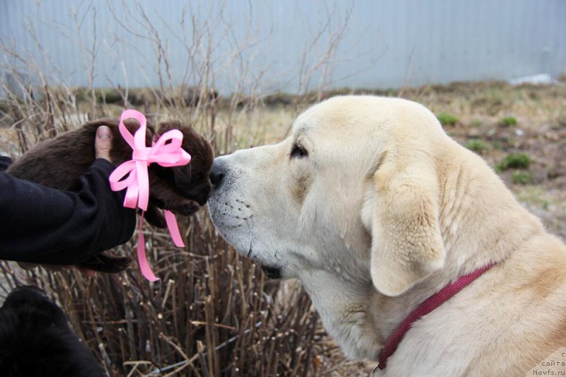 Фотография № 205709