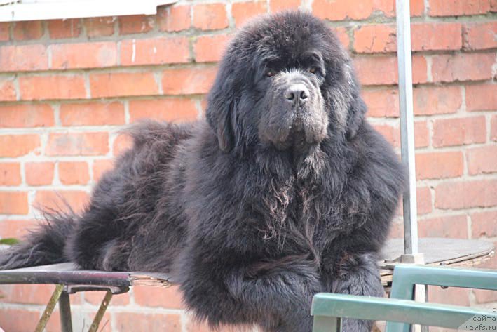 Фотография № 205710