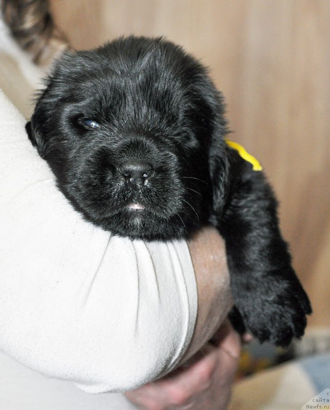 Фотография № 205737