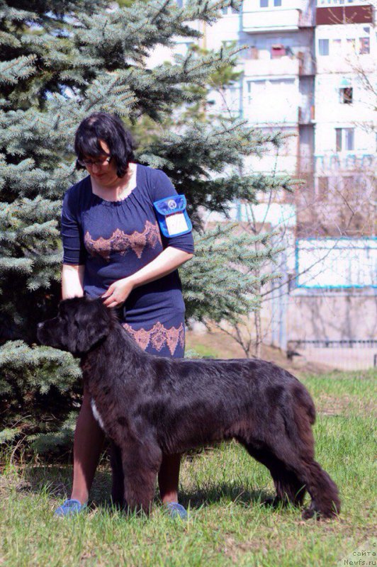 Фотография № 205742