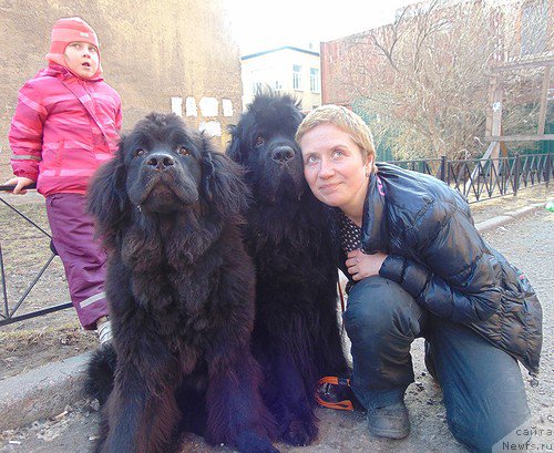 Фотография № 205753