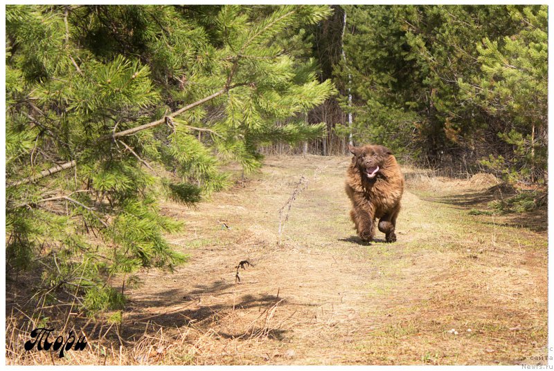 Фотография № 205758