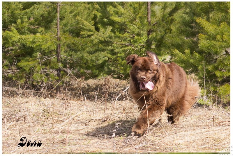 Фотография № 205765