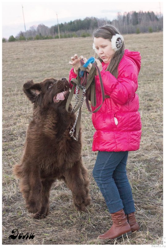 Фотография № 205766