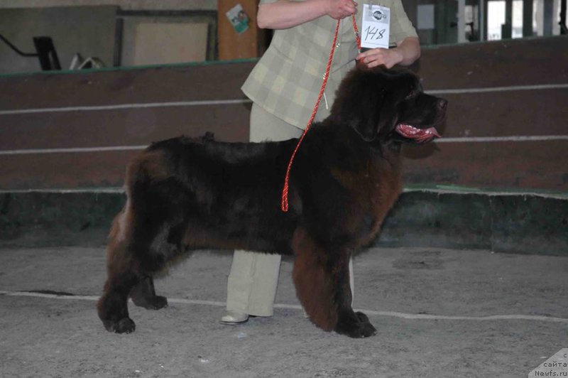 Фотография № 205770