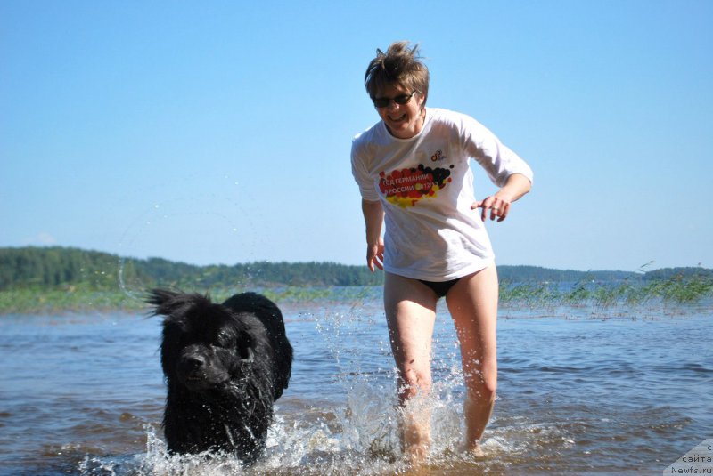 Фото: ньюфаундленд Beguschaya po Volnam Let it Be (Бегущая по Волнам Лет ит Бе)