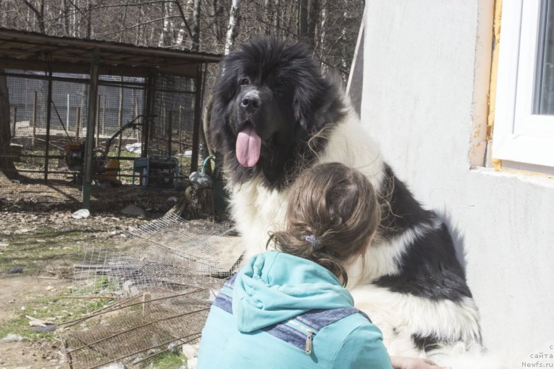 Фотография № 205806