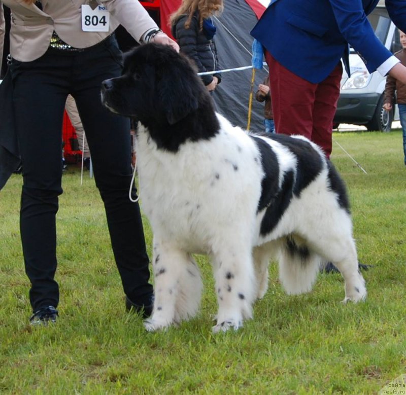 Фотография № 205816