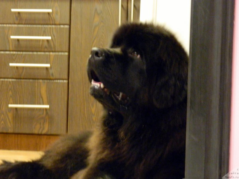 Фотография № 205818