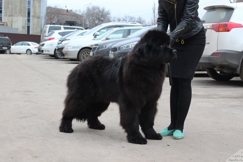 Фотография № 205819