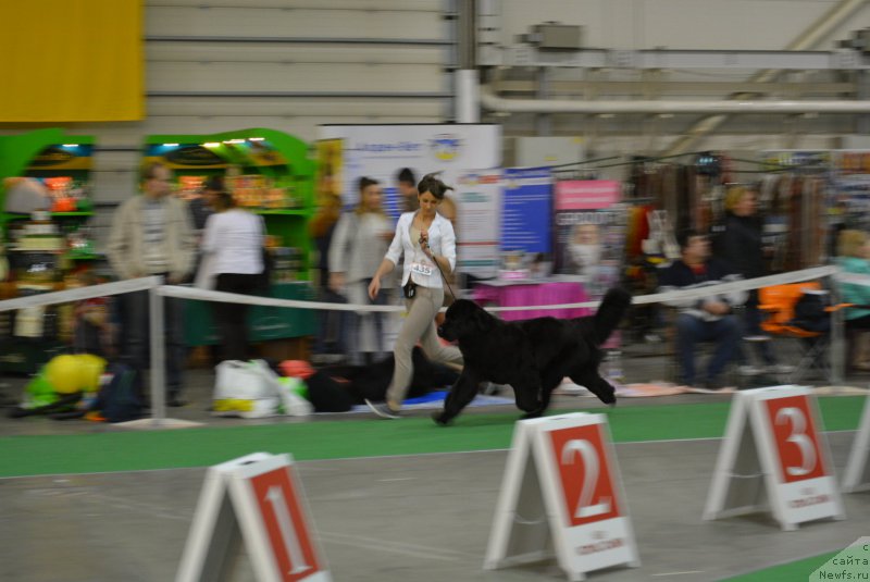 Фотография № 205832