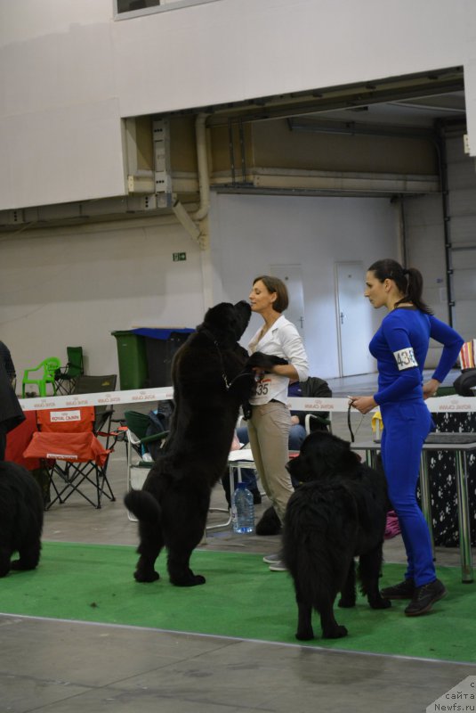 Фотография № 205839