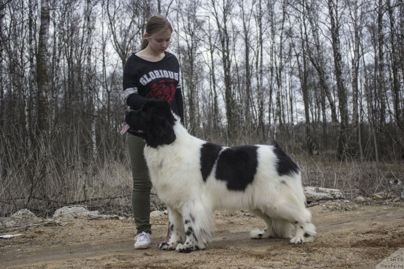 Фотография № 205844