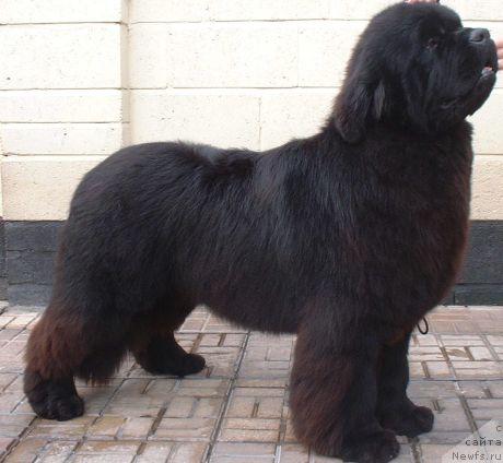 Фотография № 20585