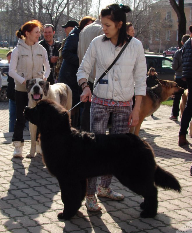 Фотография № 205854