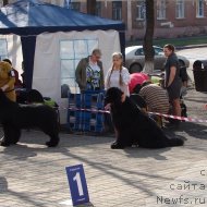 Фотография № 205855