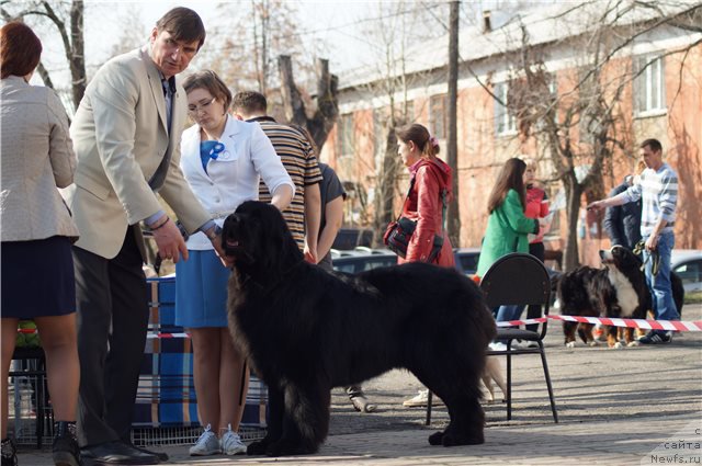 Фотография № 205856