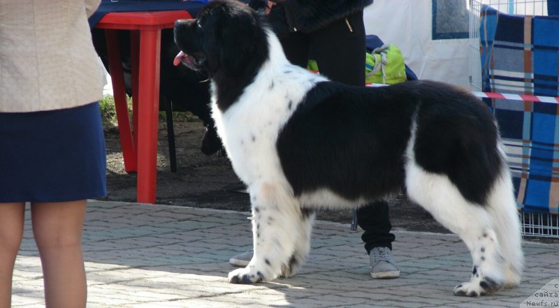 Фотография № 205859