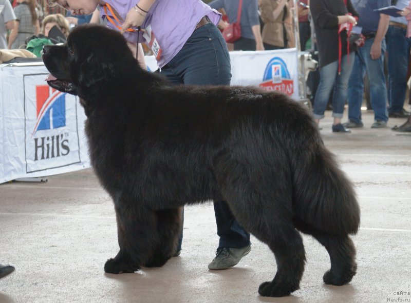 Фотография № 205868