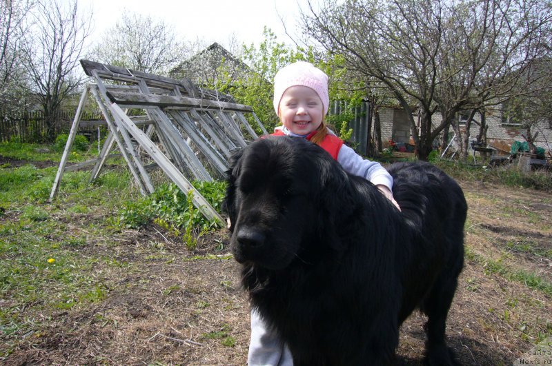 Фото: Vera Goncharova (Вера Гончарова)