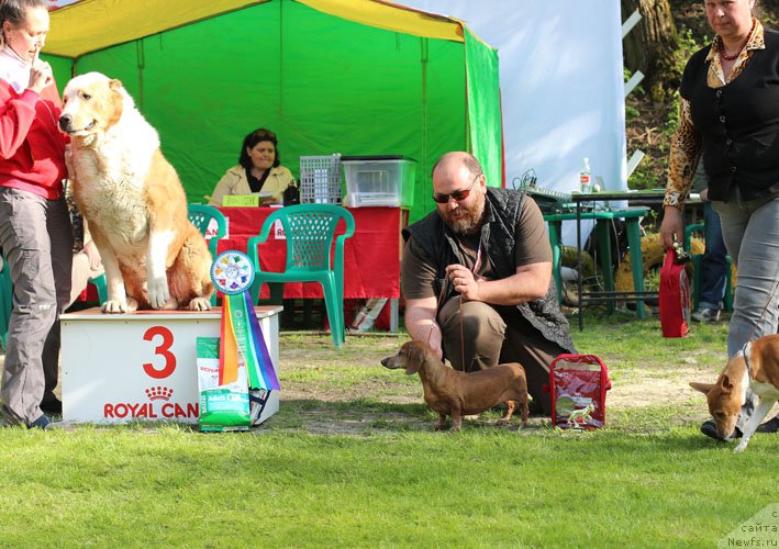 Фотография № 205898