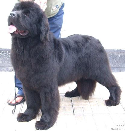 Фотография № 20591