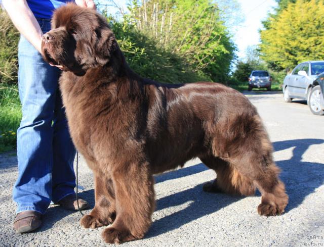 Фотография № 20592