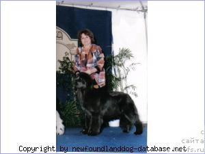 Фотография № 20595