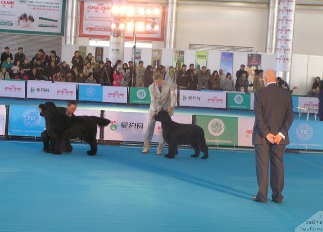 Фотография № 20599