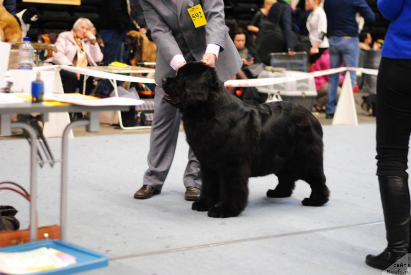 Фотография № 205998