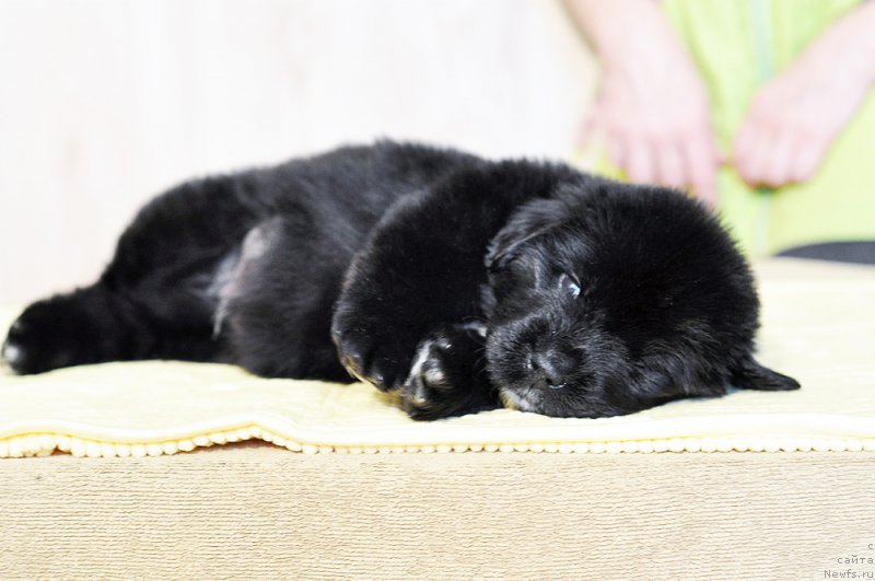 Фотография № 206024