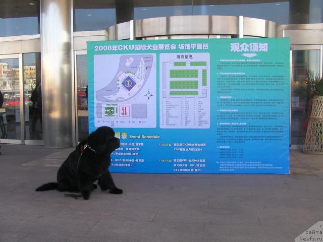 Фотография № 20603