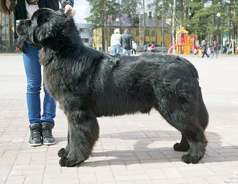 Фотография № 206030