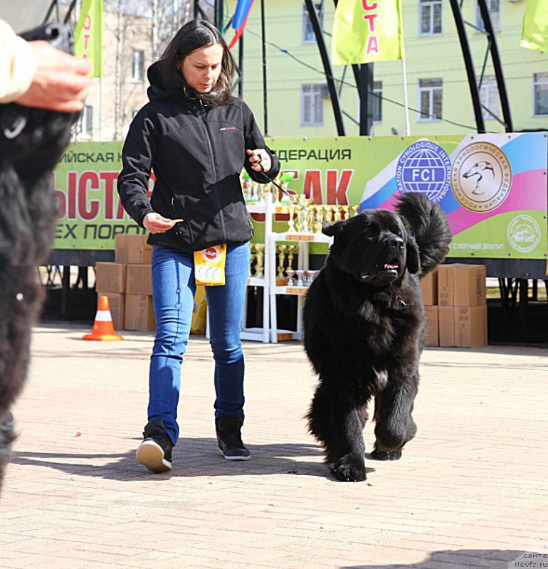 Фотография № 206031