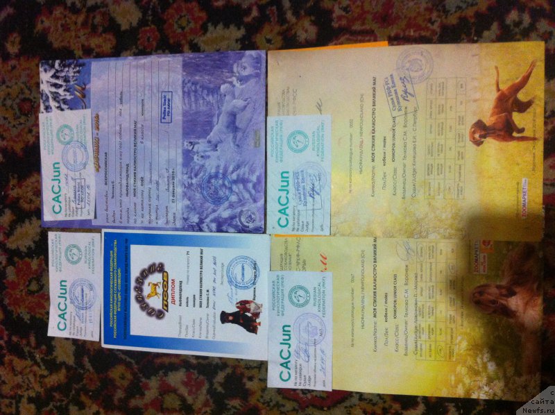 Фотография № 206036