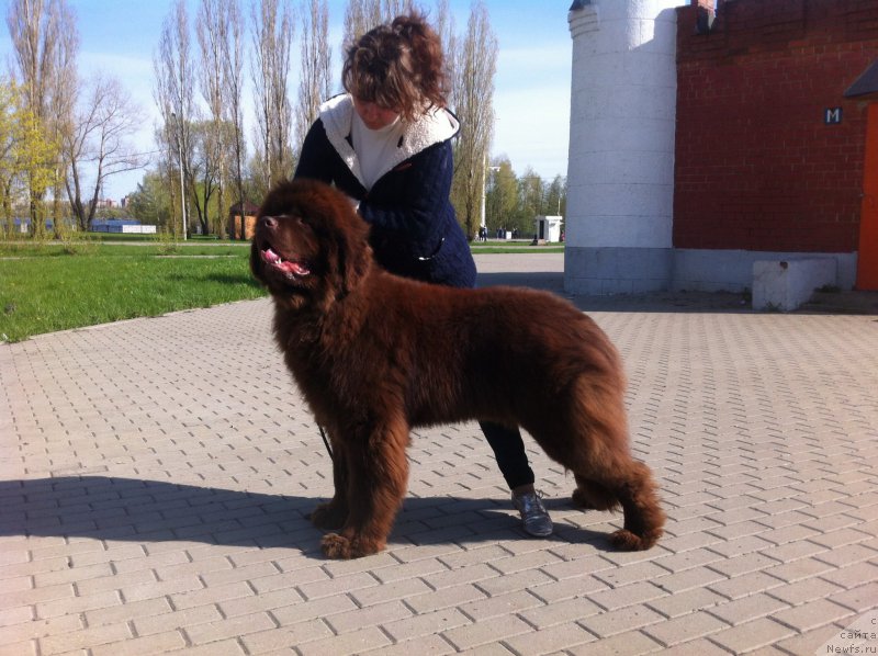 Фотография № 206039