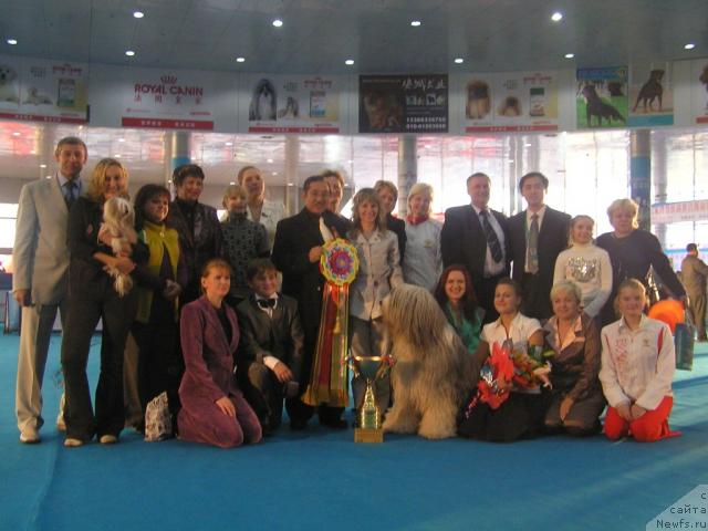 Фотография № 20604