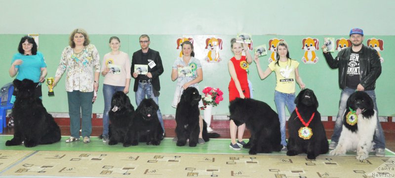 Фотография № 206064