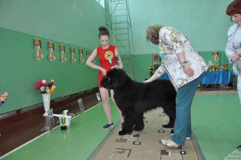 Фотография № 206065